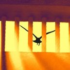 Zooming In on Book Club Discussions