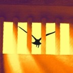 My Next Book – Fall 2024